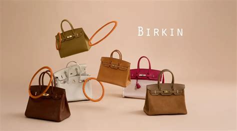 hermes birkin disney|Birkin bag Hermes designer.